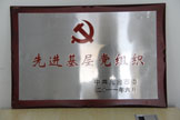 先进基层党组织
